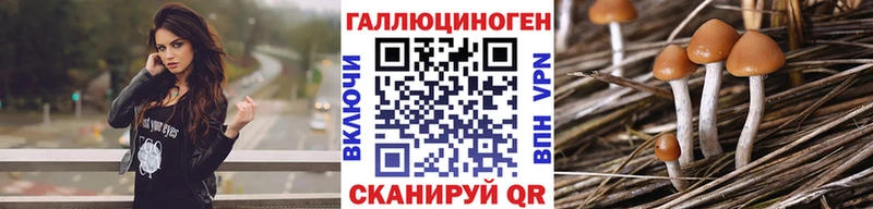Галлюциногенные грибы Psilocybe  Элиста 