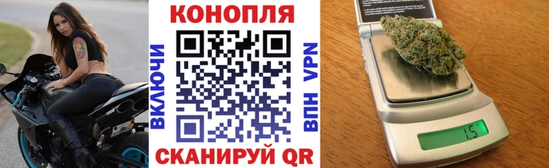 Бошки Шишки Amnesia Элиста